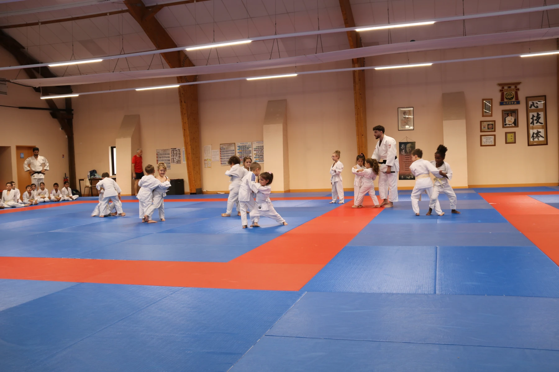 De jeunes judokas en kimono blanc s'exercent par deux aux saisies sur le tatami bleu et rouge, encadrés par un professeur.