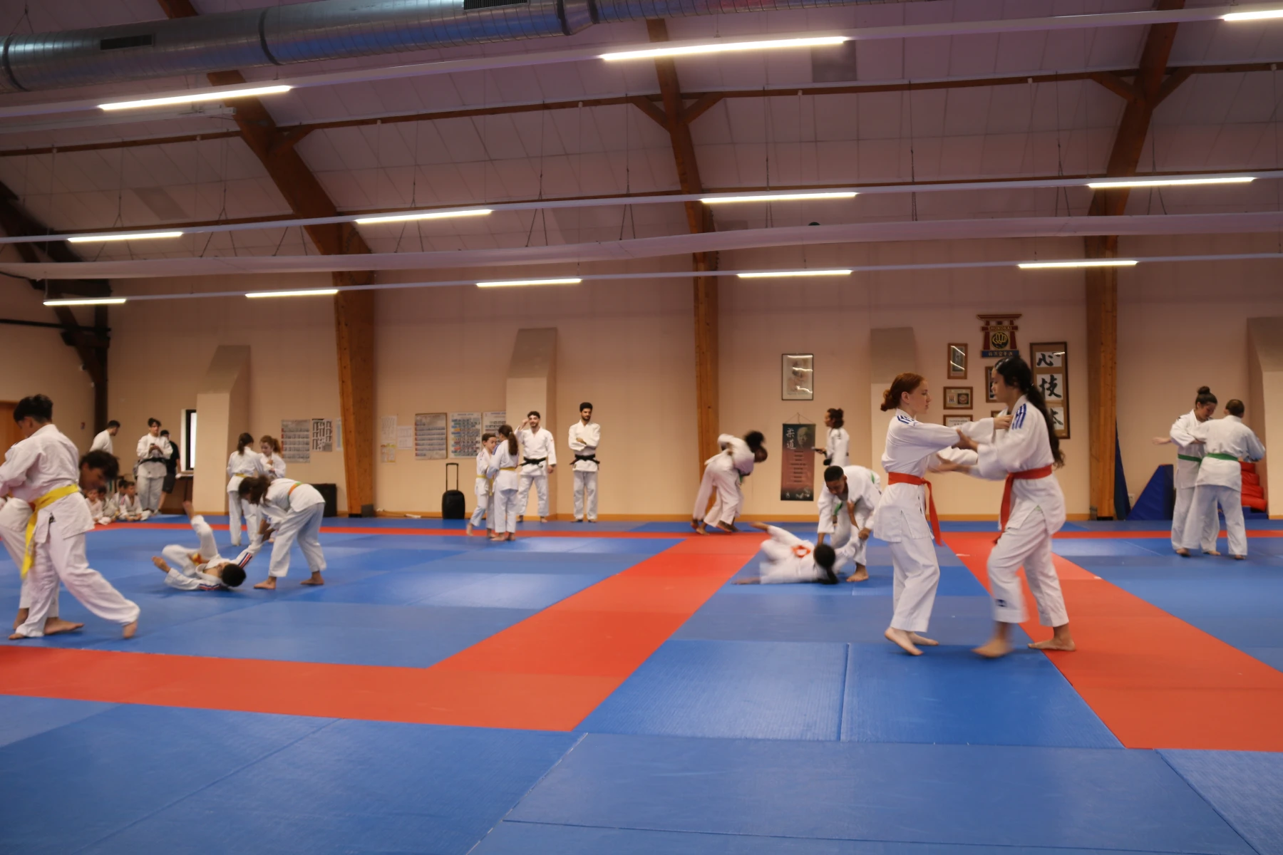 Adolescents et adultes en judogi enchaînent des projections lors d'un randori animé sur le tatami du dojo.