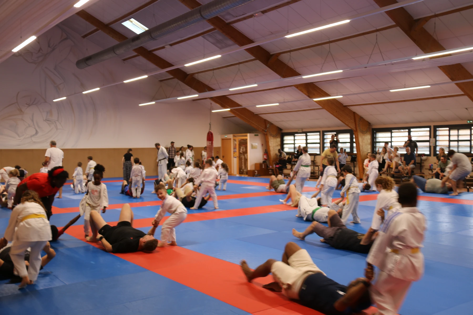 Adultes et enfants au sol pratiquent des exercices de judo par deux pendant l'événement familial.